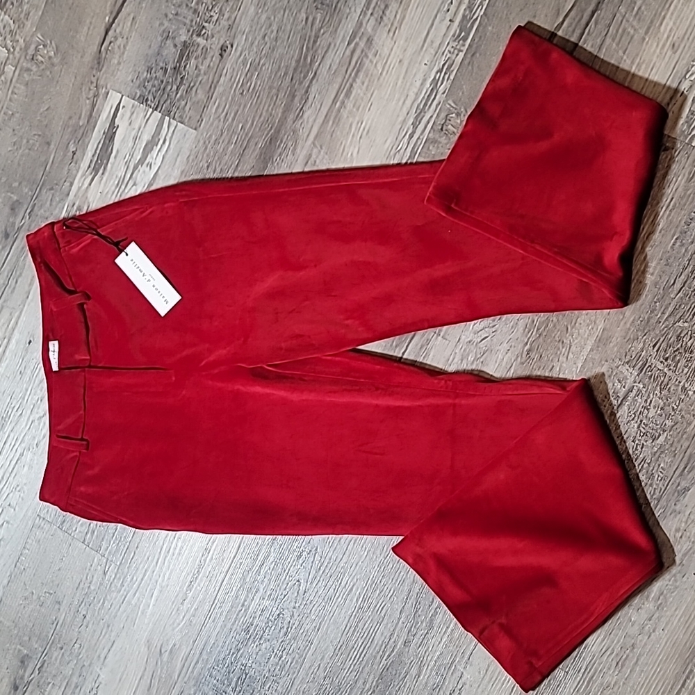 Red Velvet Pants